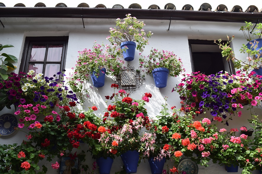 Saal Digital - Hauswand mit Blumen in Cordoba